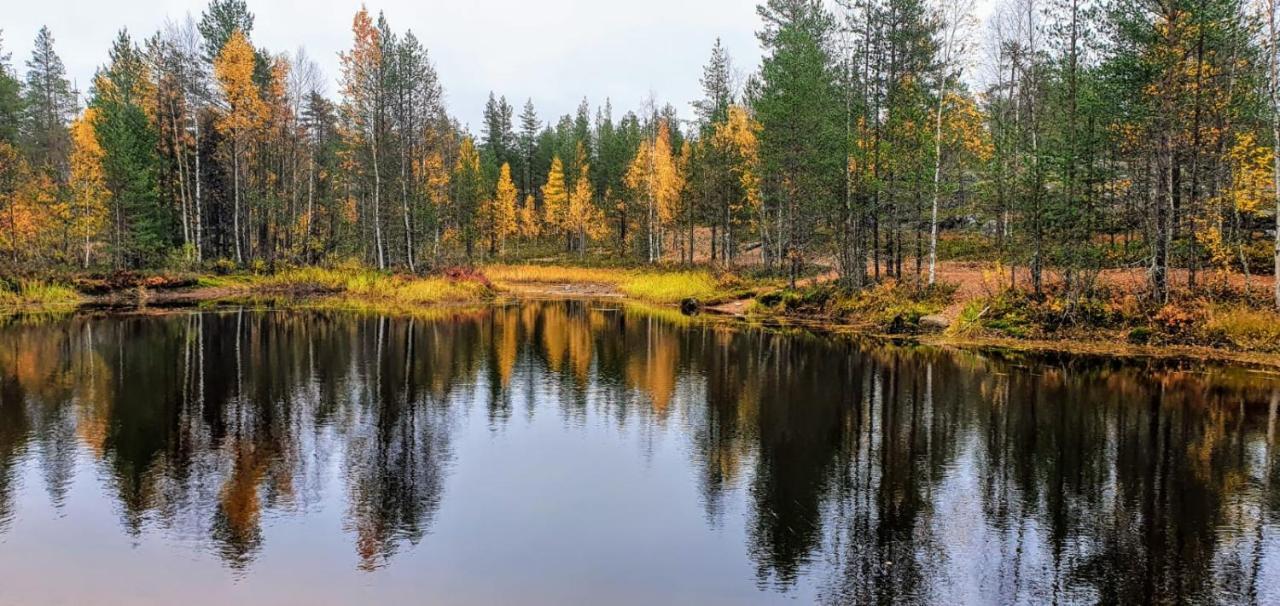 Cozy Log Cabin By Invisible Forest Lodge Rovaniemi Eksteriør billede