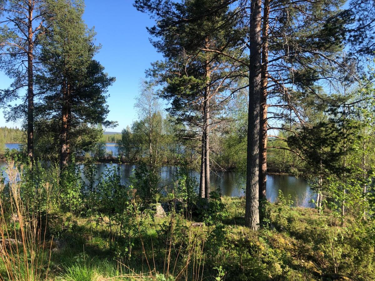 Cozy Log Cabin By Invisible Forest Lodge Rovaniemi Eksteriør billede